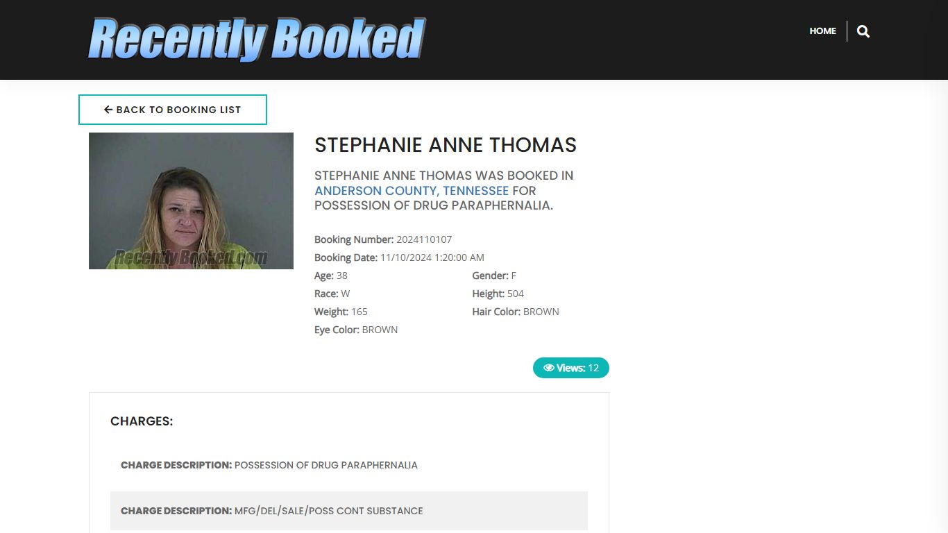 Recent Booking / Mugshot for STEPHANIE ANNE THOMAS in Anderson County ...